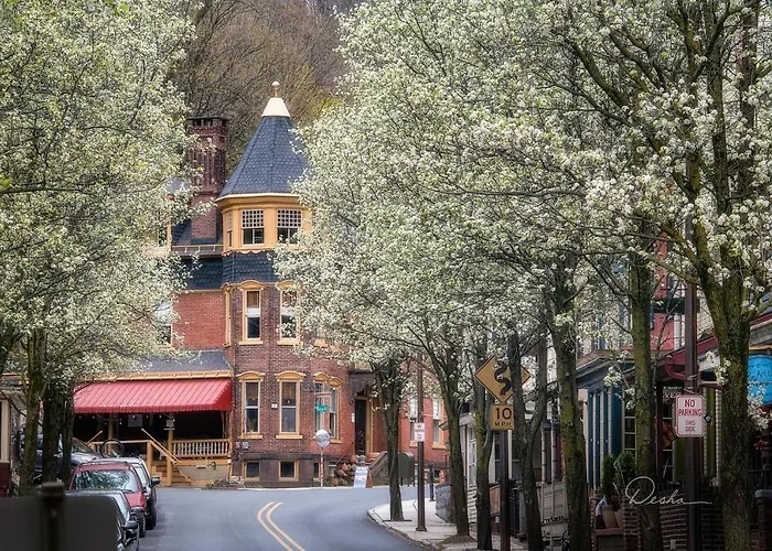The Dolon House Bed & Breakfast!